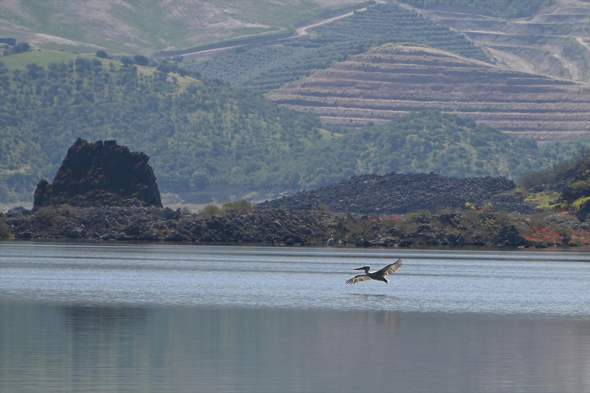 Manisa'daki lav kalıntıları göçmen kuşlarla canlandı
