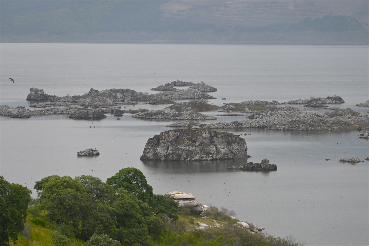 Manisa'daki lav kalıntıları göçmen kuşlarla canlandı