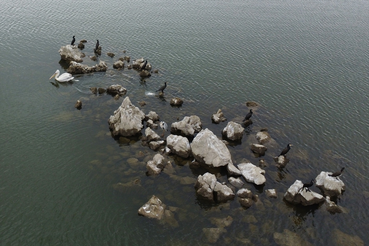 Manisa'daki lav kalıntıları göçmen kuşlarla canlandı