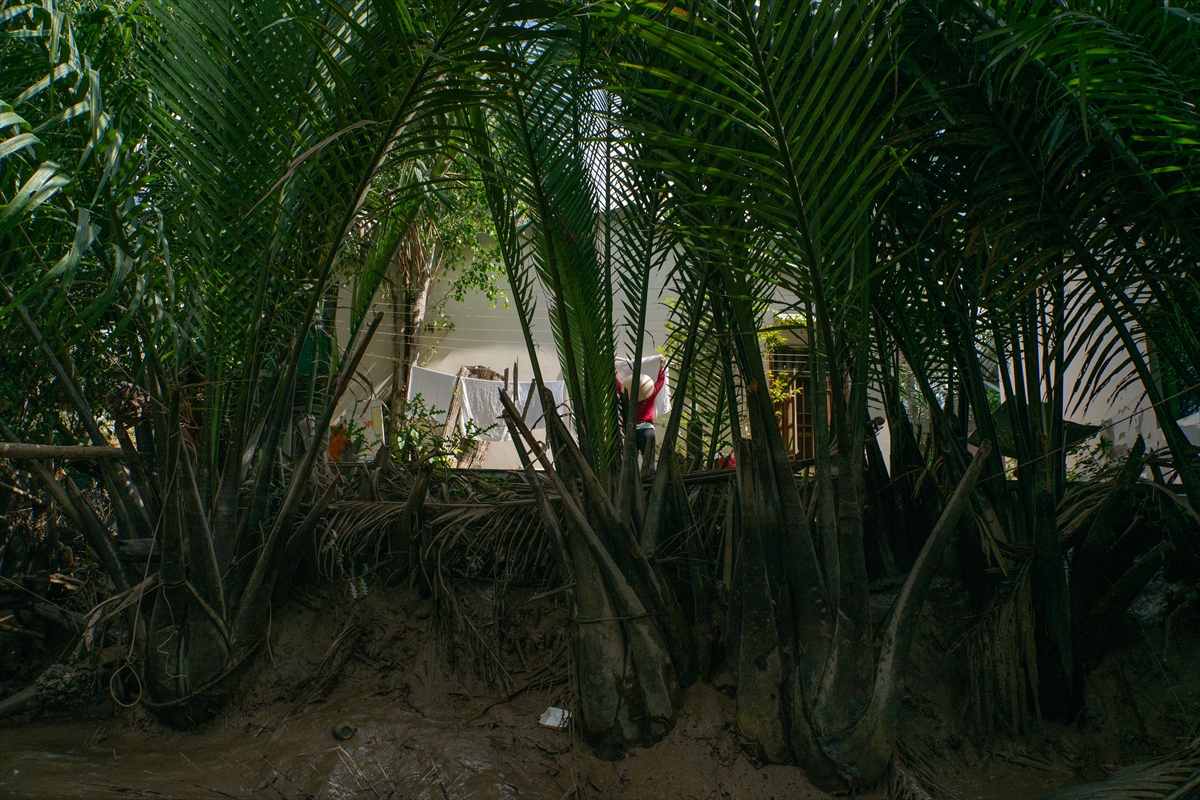 Mekong Deltası kanallarında tekne turu