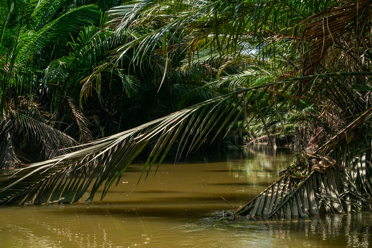 Mekong Deltası kanallarında tekne turu