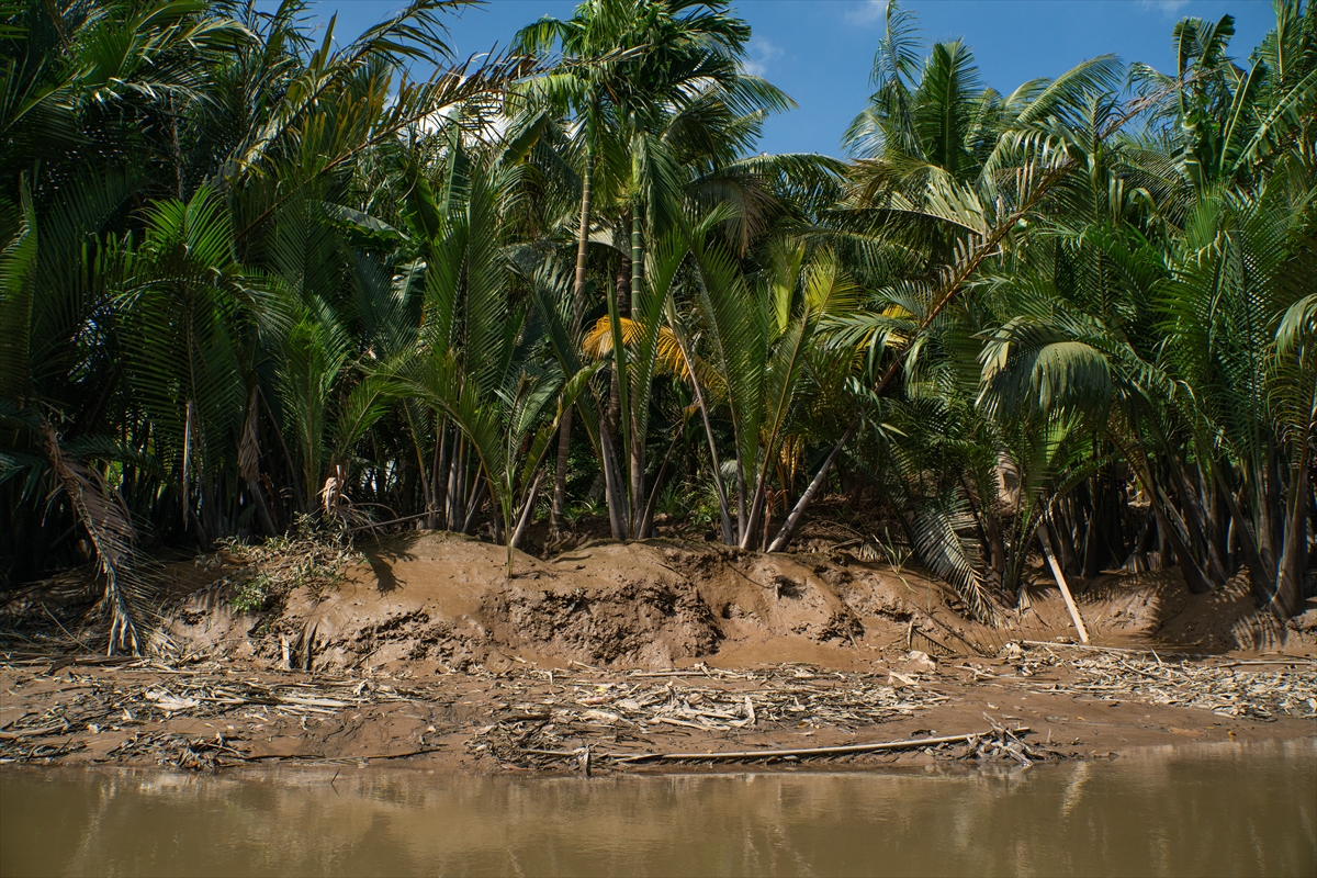 Mekong Deltası kanallarında tekne turu