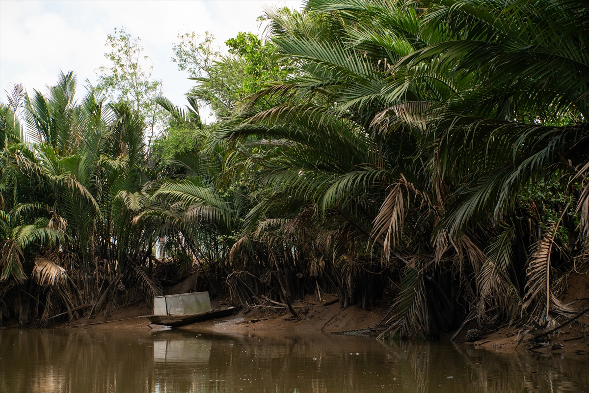 Mekong Deltası kanallarında tekne turu