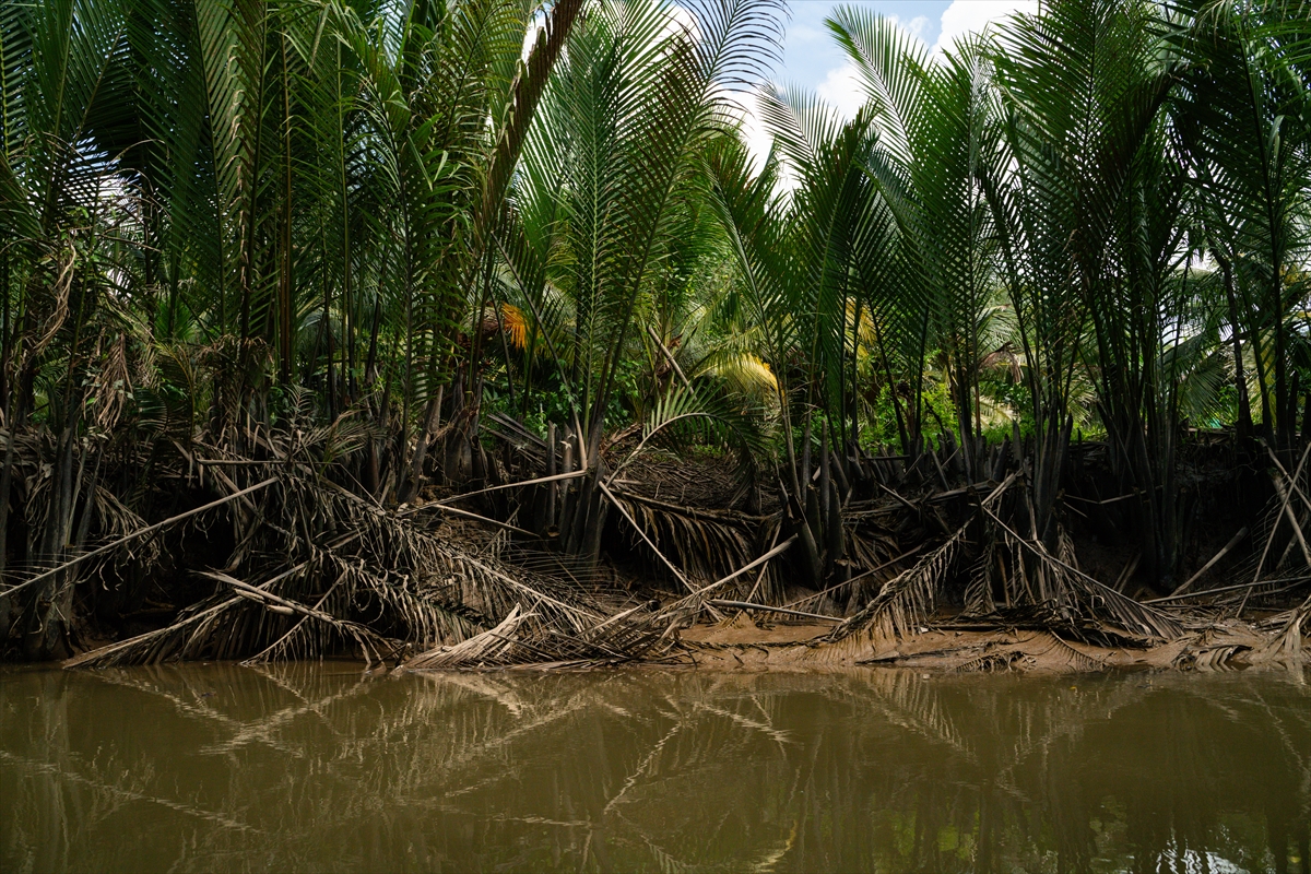 Mekong Deltası kanallarında tekne turu