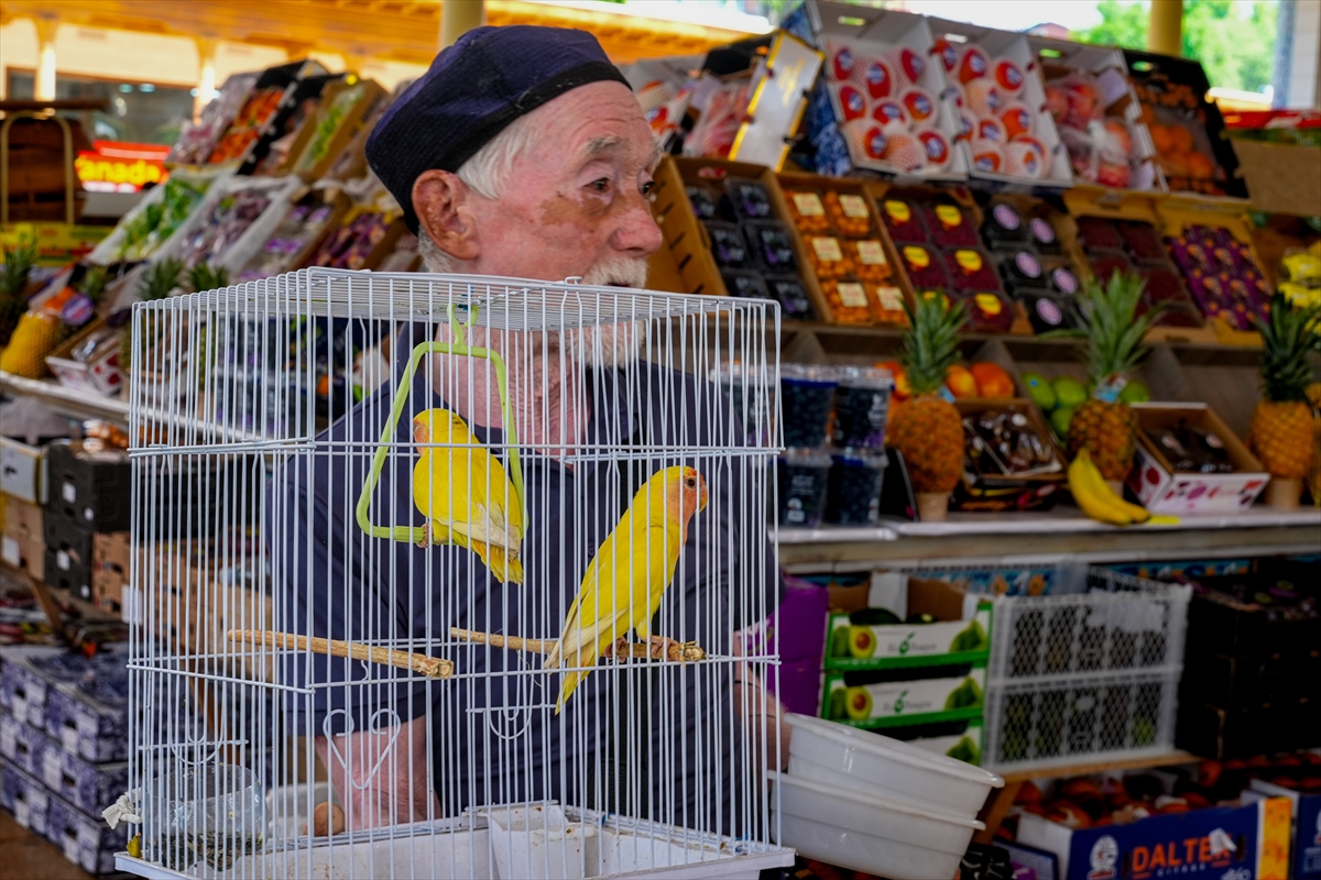 Özbekistan'nın tarihi kenti Taşkent'te günlük yaşam