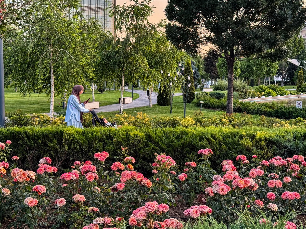 Özbekistan'nın tarihi kenti Taşkent'te günlük yaşam