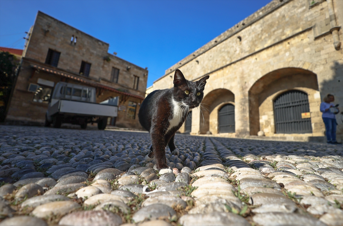 Rodos'taki Osmanlı mirası zamana direniyor