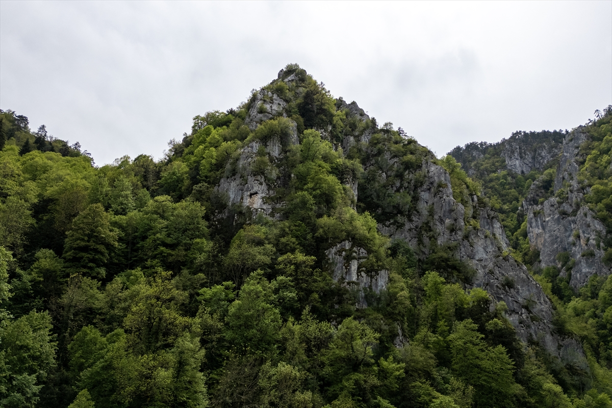 Kastamonu’da keşfedilmeyi bekleyen cennet Horma Kanyonu