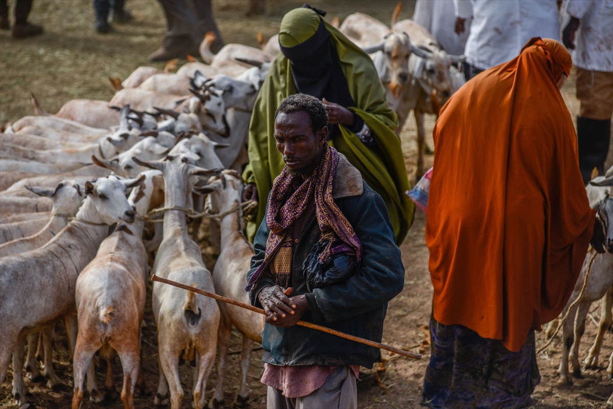 Kenya'da Kurban Bayramı hazırlıkları