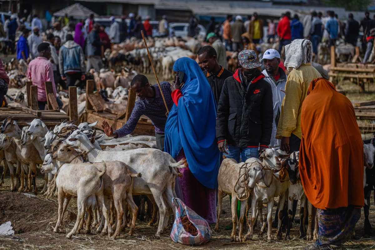 Kenya'da Kurban Bayramı hazırlıkları