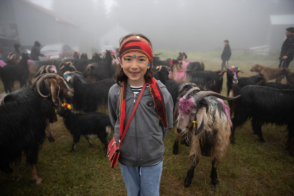 Sakarya'da besiciler geleneksel göçleri için 118'inci kez yola çıktı