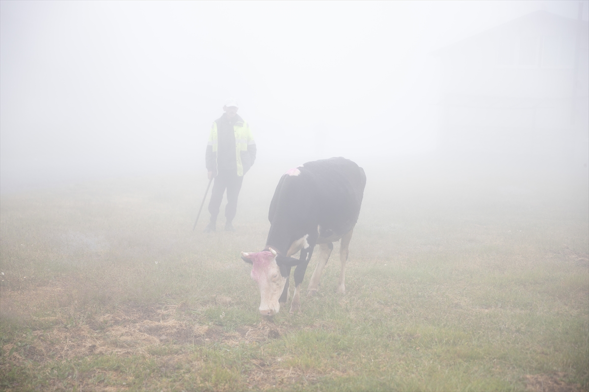 Sakarya'da besiciler geleneksel göçleri için 118'inci kez yola çıktı