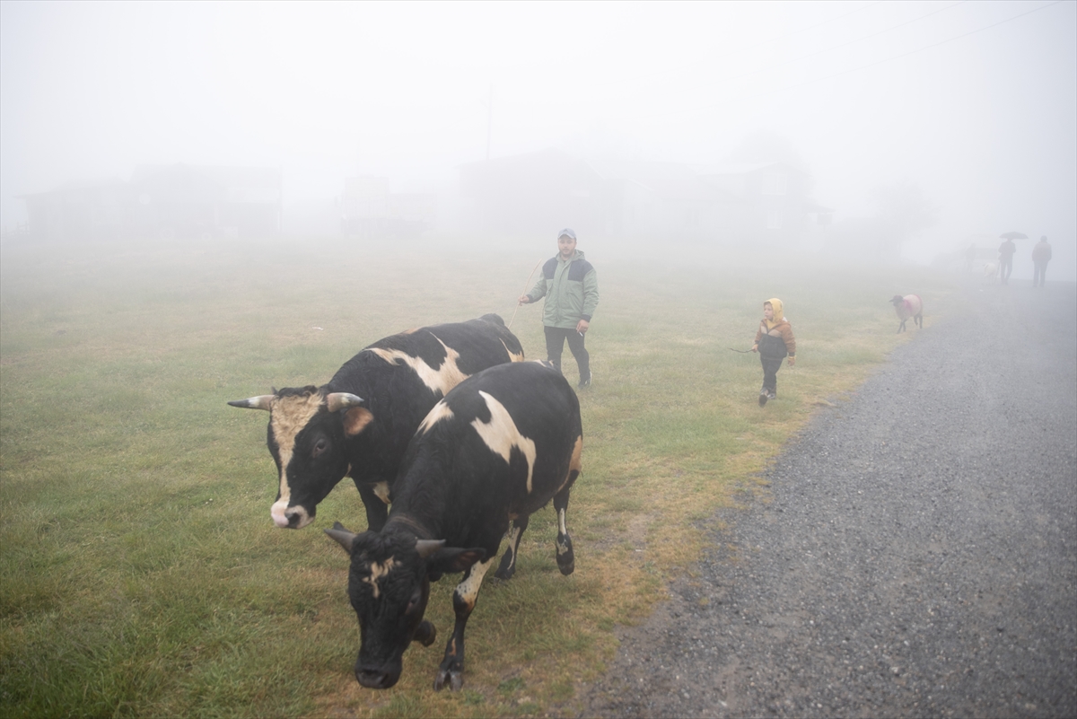 Sakarya'da besiciler geleneksel göçleri için 118'inci kez yola çıktı