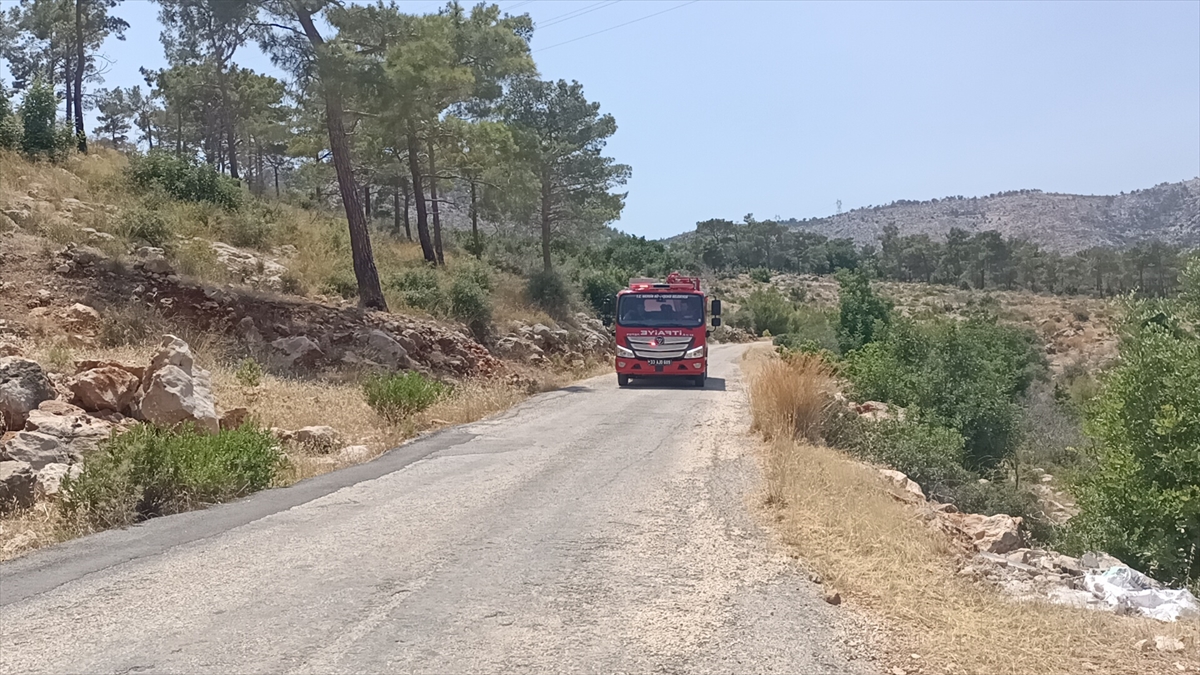 Türkiye’nin birçok noktasında orman yangınlarıyla mücadele devam ediyor
