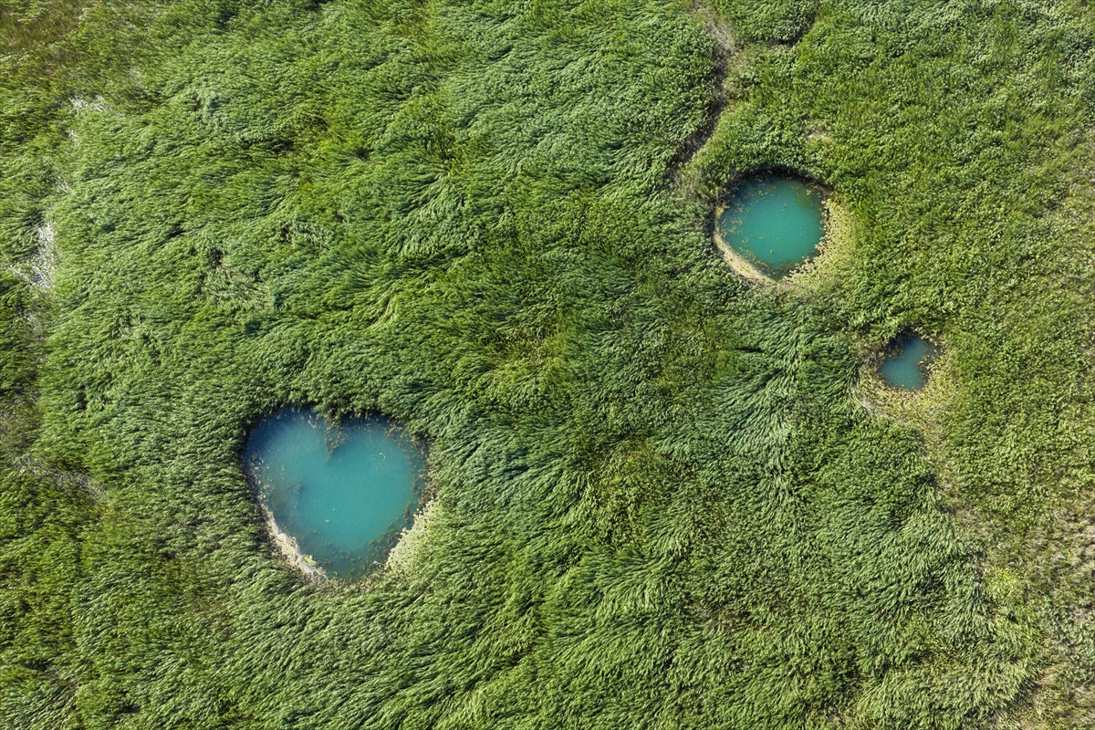 Beyşehir Gölü'nde kuraklık yeni 'göze'ler ortaya çıkardı