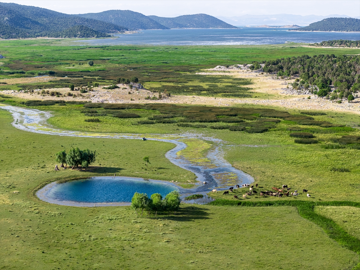 Beyşehir Gölü'nde kuraklık yeni 'göze'ler ortaya çıkardı