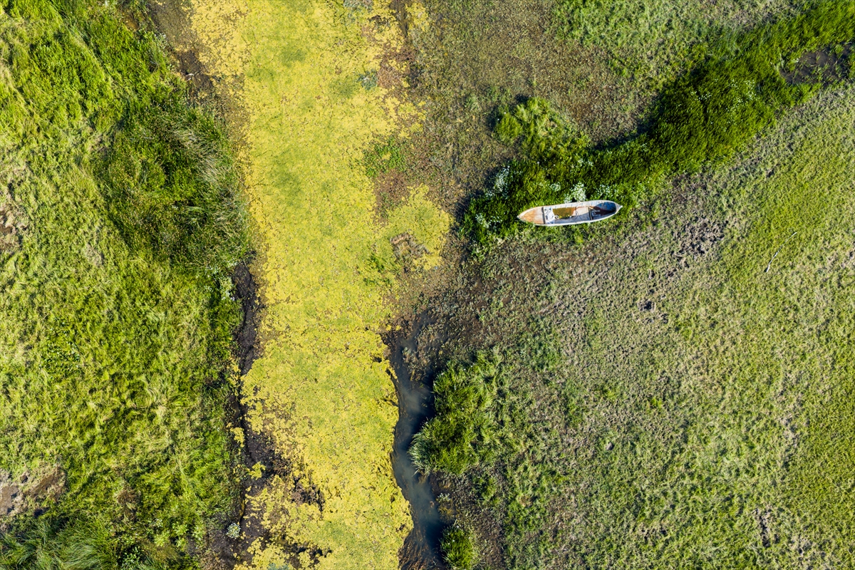 Beyşehir Gölü'nde kuraklık yeni 'göze'ler ortaya çıkardı