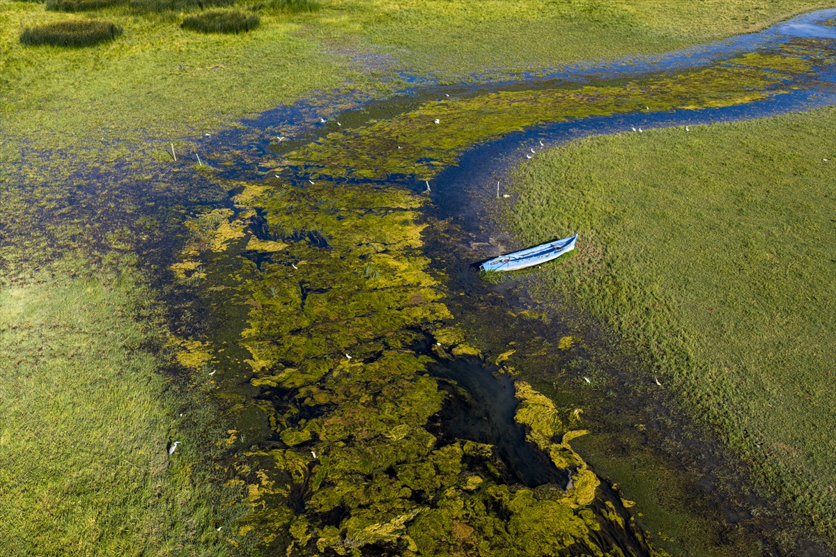 Beyşehir Gölü'nde kuraklık yeni 'göze'ler ortaya çıkardı