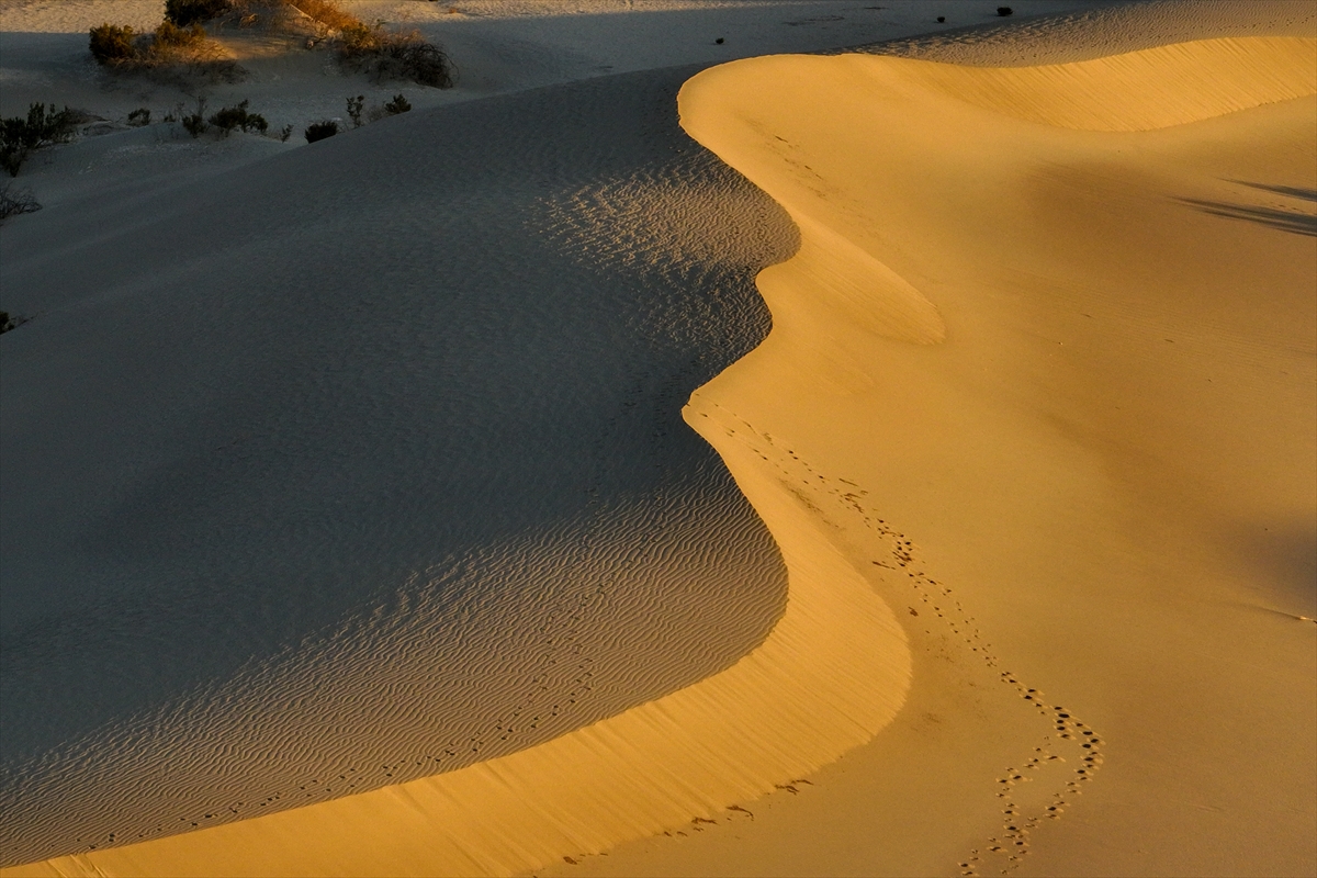 ABD'nin Ölüm Vadisi’nde sıcaklıklar 46 dereceyi aştı