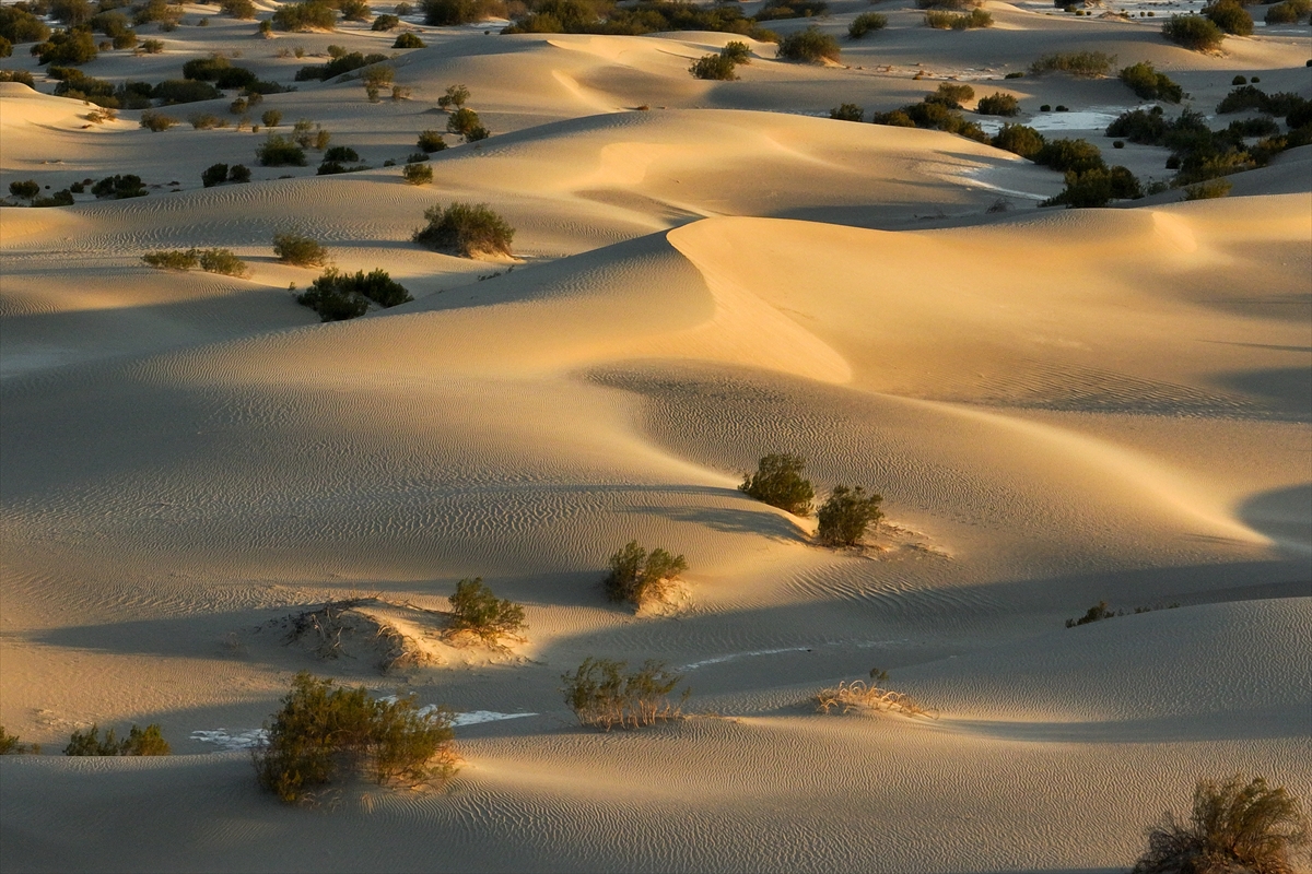 ABD'nin Ölüm Vadisi’nde sıcaklıklar 46 dereceyi aştı