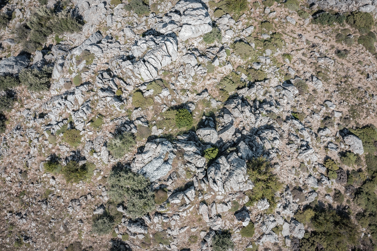 TSK'nın şampiyon keskin nişancıları, zorlu eğitimlerle göreve hazırlanıyor