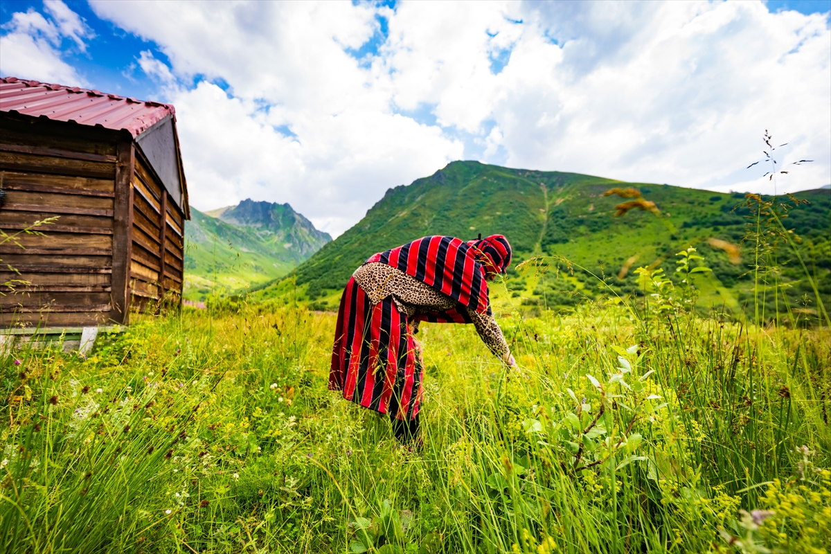 Doğa harikası Cimil Vadisi, ziyaretçilerine görsel şölen sunuyor