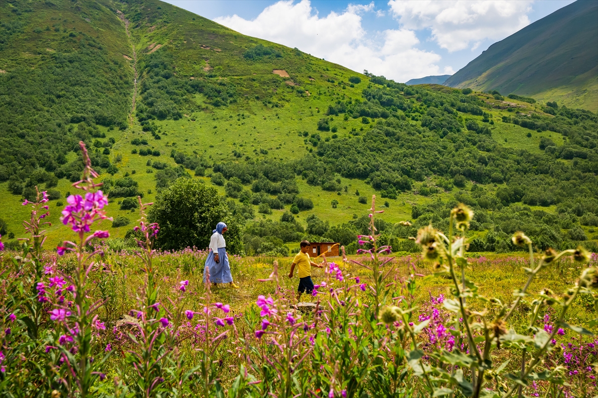 Doğa harikası Cimil Vadisi, ziyaretçilerine görsel şölen sunuyor