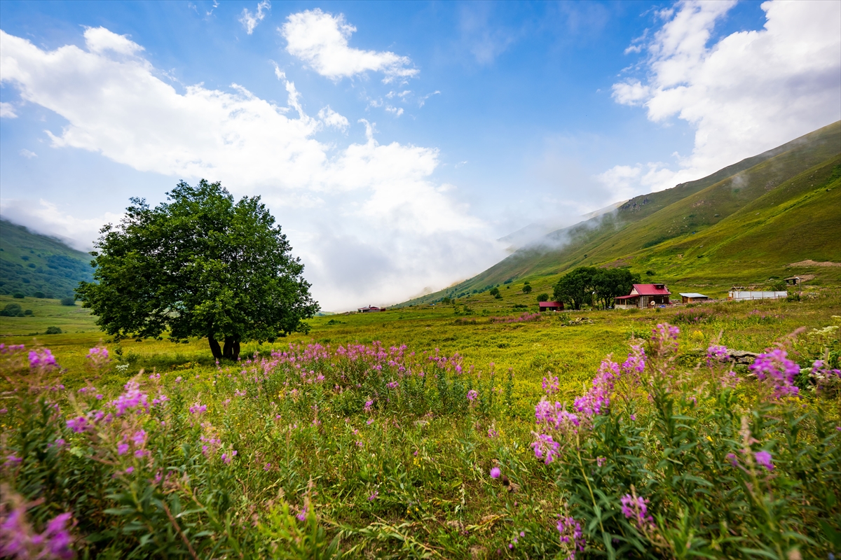 Doğa harikası Cimil Vadisi, ziyaretçilerine görsel şölen sunuyor