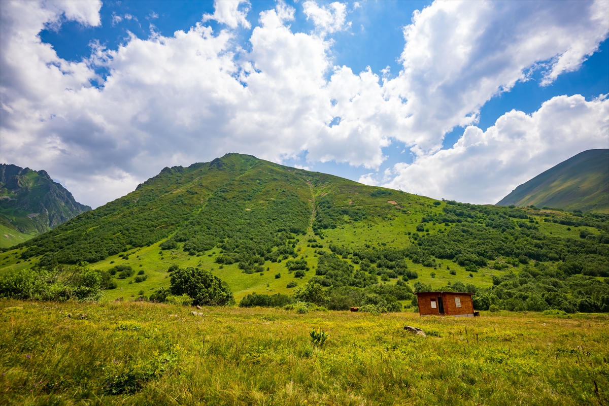 Doğa harikası Cimil Vadisi, ziyaretçilerine görsel şölen sunuyor