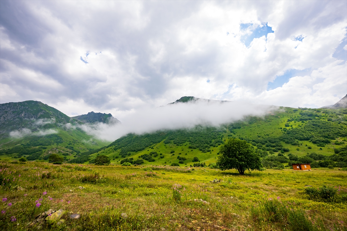 Doğa harikası Cimil Vadisi, ziyaretçilerine görsel şölen sunuyor