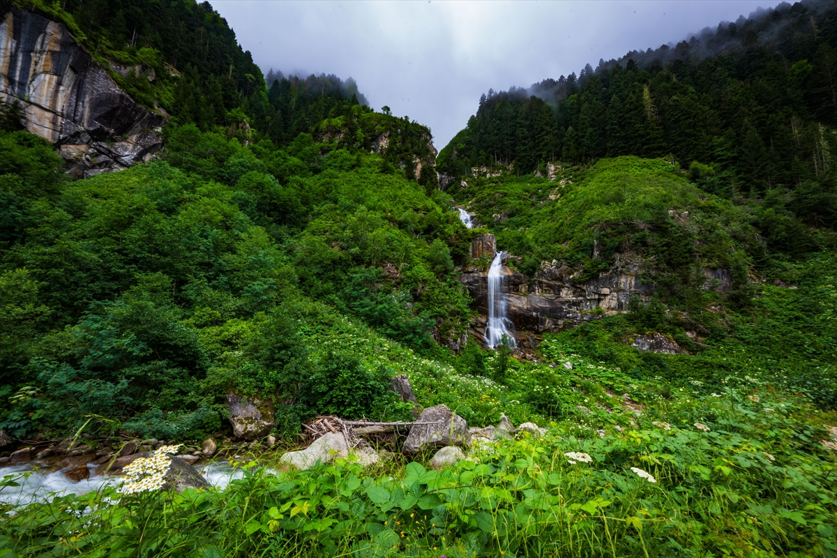 Doğa harikası Cimil Vadisi, ziyaretçilerine görsel şölen sunuyor
