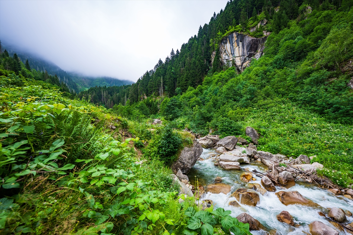 Doğa harikası Cimil Vadisi, ziyaretçilerine görsel şölen sunuyor