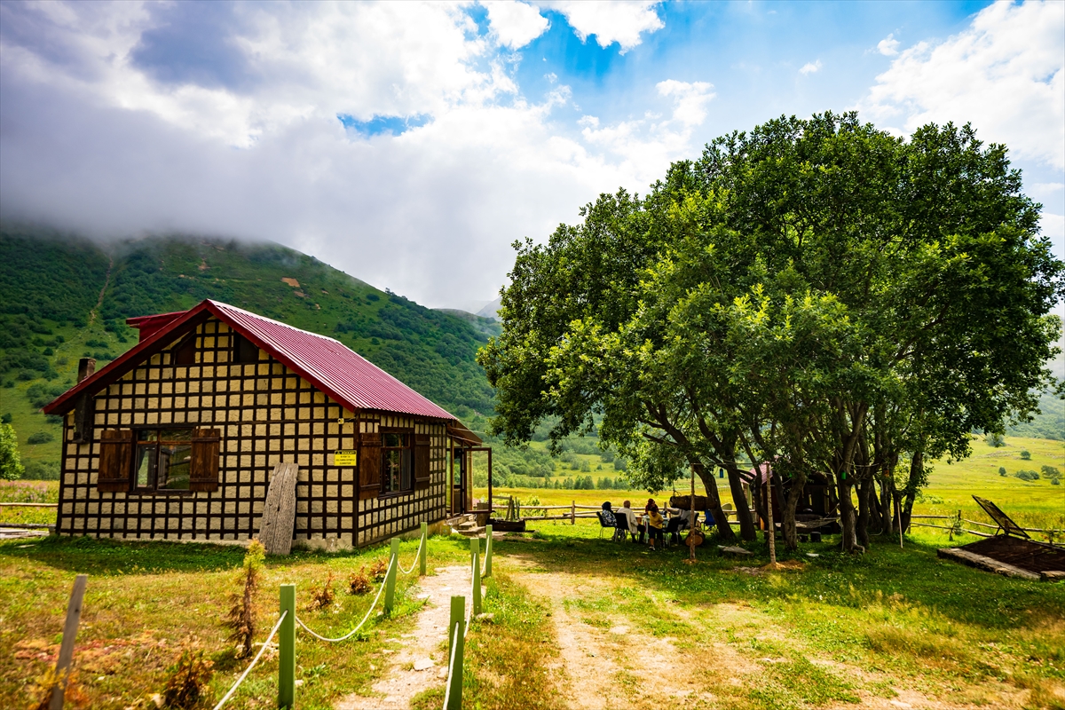 Doğa harikası Cimil Vadisi, ziyaretçilerine görsel şölen sunuyor