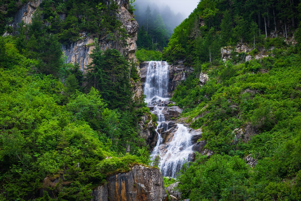 Doğa harikası Cimil Vadisi, ziyaretçilerine görsel şölen sunuyor