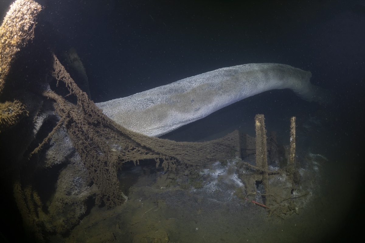 Marmara Depremi'nin su altındaki izleri