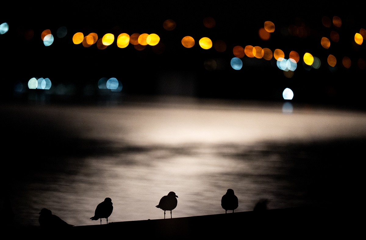 Türkiye’nin en kuzey noktası: Sinop