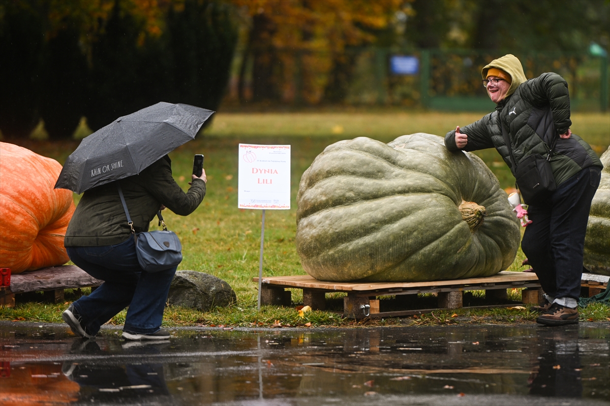 Polonya’da Dev Bal Kabağı Yarışması
