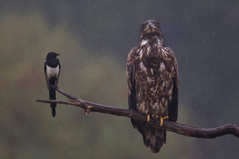 Alman fotoğrafçı Klaus Tamm'ın objektifinden inanılmaz fotoğraflar 