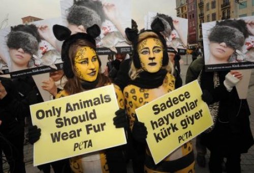 PETA’dan Taksim’de yarı çıplak eylem