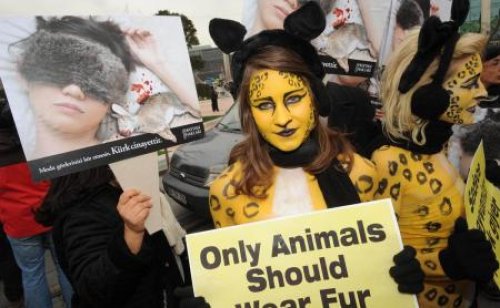 PETA’dan Taksim’de yarı çıplak eylem