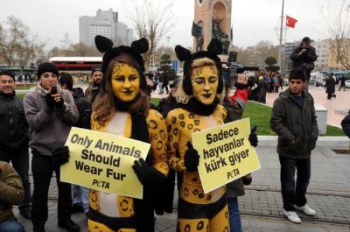PETA’dan Taksim’de yarı çıplak eylem
