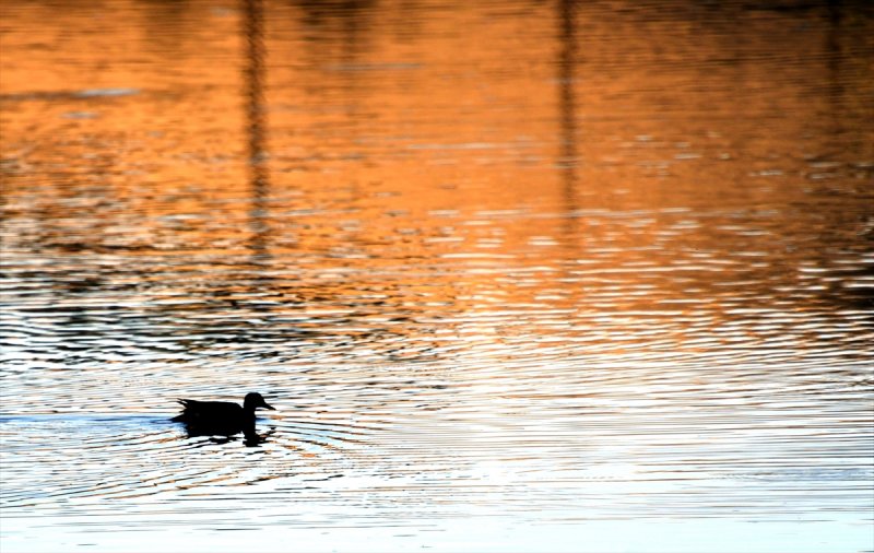 Ördek Gölü yüzeyi buz tuttu