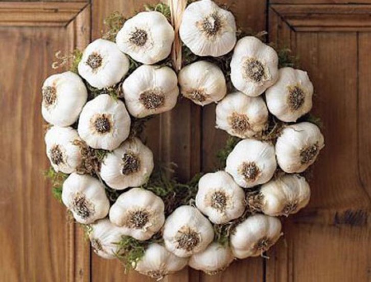 Şifalı bitkiler nerede nasıl kullanılmalı