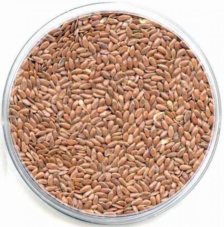 Şifalı bitkiler nerede nasıl kullanılmalı