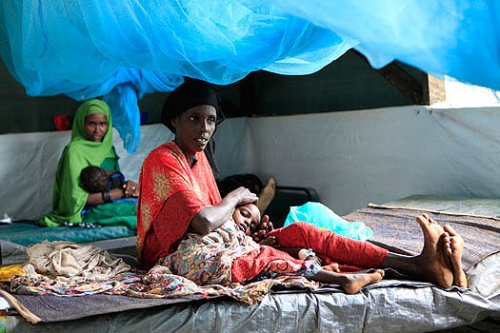 Somali dünyanın en feci felaketini yaşıyor