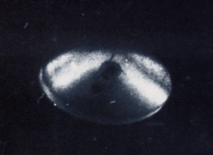 UFO'ların kayıtlı gerçeği 