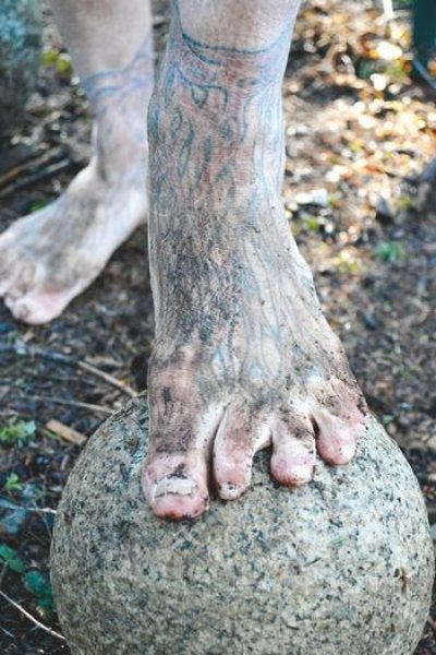 Mick Dodge 25 yıldır ağaç kovuğunda yaşıyor 