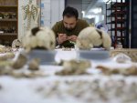 Anadolu'nun 15 bin yıllık 'DNA' hazinesi bulunacak