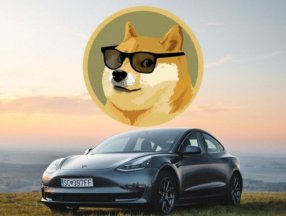 İkinci el Tesla modelleri, Dogecoin ile satın alınabilecek