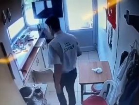 Adana'da güvenlik görevlisi sokak köpeğinin üzerine sıcak su döktü